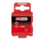 1/4" bit Torx