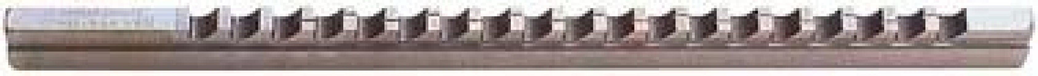 Tŕň pretláčasí HSS veľkosť 3I Hassay Savage IBT